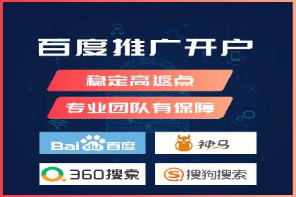 百度竞价与搜索引擎优化（SEO）的协同效应案例