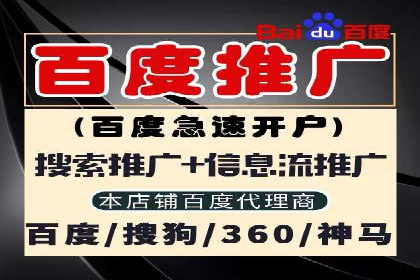 某企业SEM广告投放的转化率提升秘诀